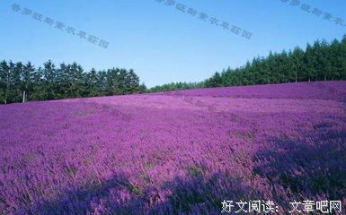 无底线的原谅，就是最大的恶