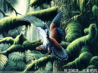 关于白头永的格言