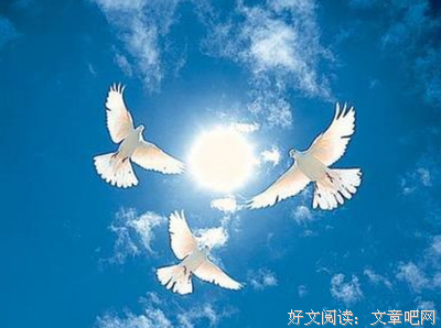 关于吴对的名言