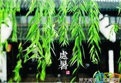最经典的《光晕》佳句摘抄