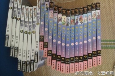 《和谐》小说书摘