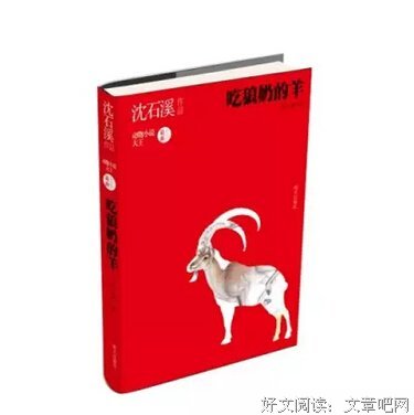《熊武士5 苍穹流火》读后感10篇