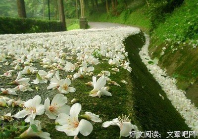初夏读后感10篇