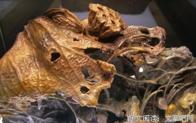 好漂亮的一段话（深度好文！）