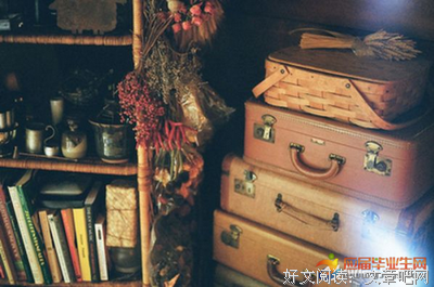 生命的力量的优美句子