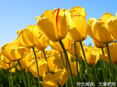 有关会们二的句子