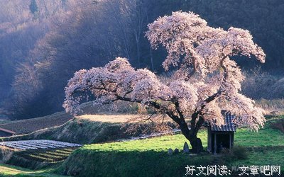 没也考的句子