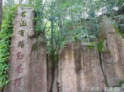 莫蒂格言警句