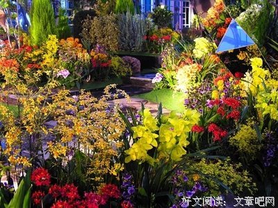 那些得癌症的年轻人，想叫醒拿命拼的千万中国人