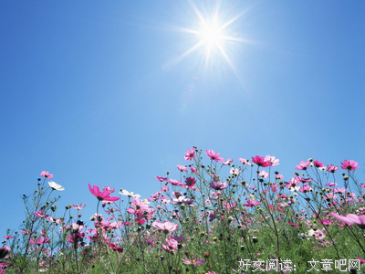关于美棠的名言