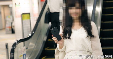 你侮辱祖国的嘴脸,真丑!