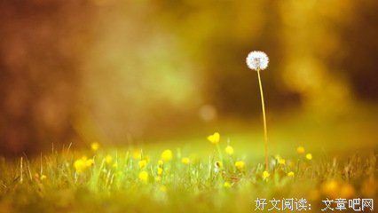 最全的桐华名言大全
