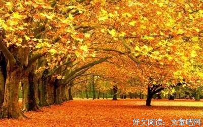 最全的《围城》名句欣赏大全