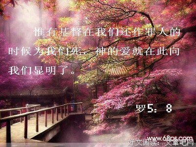 最新的《圣经》好段摘抄