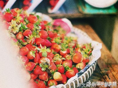 最经典的《心术》语录摘抄