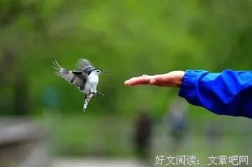 信任，取决于人品