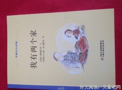 《中国的忧伤》读后感10篇