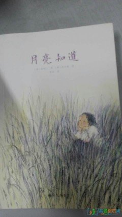 《幸福，光临当下》经典读后感10篇