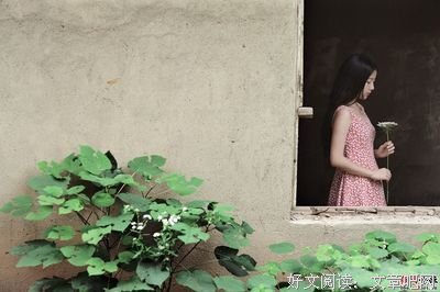 北北的夏的读后感10篇