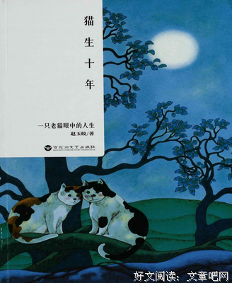 《猫生十年》的读后感10篇