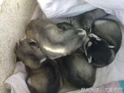 从不后悔没走上“有房一族”的道路