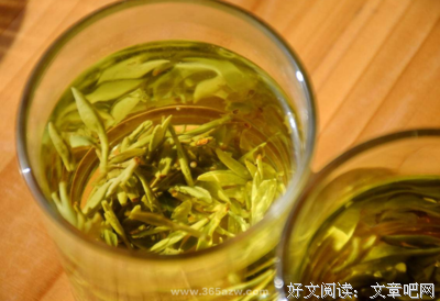 关于风荷蘸晚的优美句子
