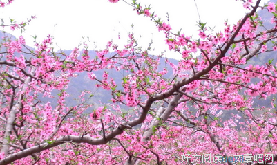 染好词好句