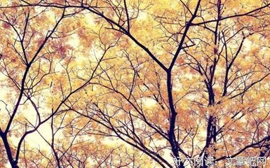 15条关于平和的经典语句