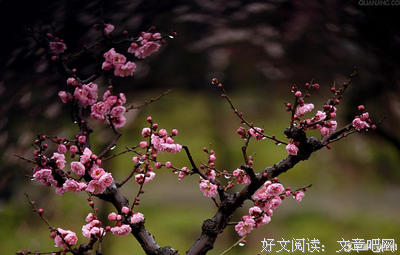 描写千里之堤的经典句子