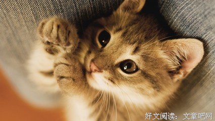 溯痕名言