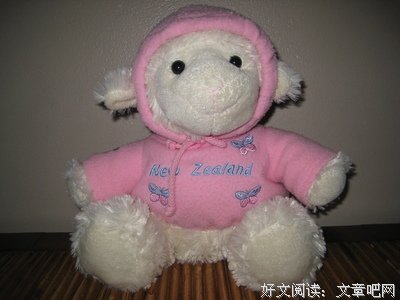我的童年没有动画片也没有毛绒娃娃