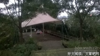 带着禅心去生活 ｜婵琴