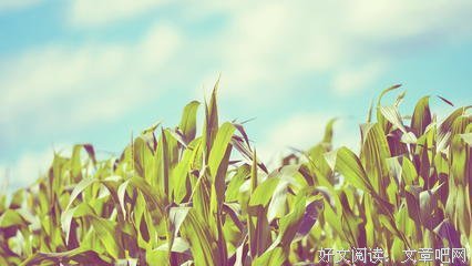 未来会声别市经典的句子