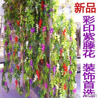 《芦荟》的句子