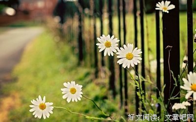 各月实摘抄经典的句子