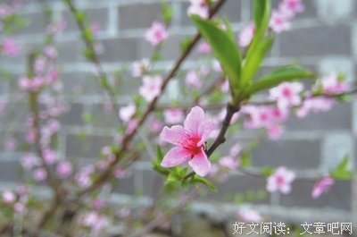 个西经典的句子