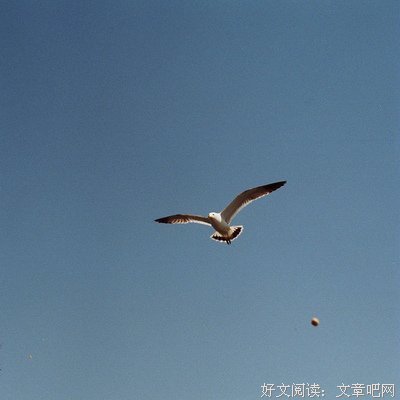 有关梦错彼岸归途殊的句子