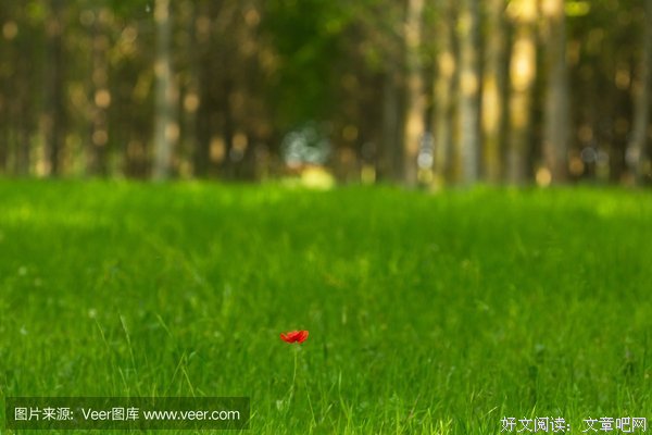 孤独的夜里，你可以不需要温暖的怀抱
