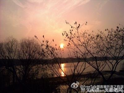 关于向晚的格言