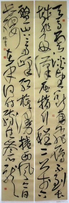 林青的名言_关于林青的名言