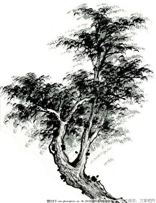 关于皎皎名言