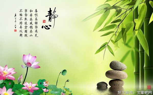 静心者不需要个人指引（2）