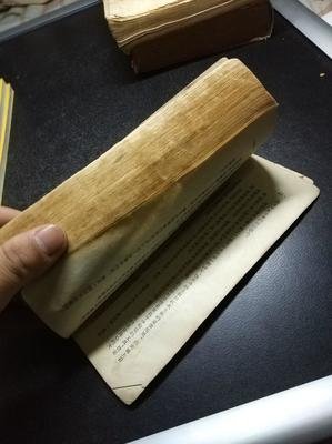 最经典的《牛虻》小说书摘