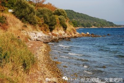 《加里波利》好看吗？经典影评10篇