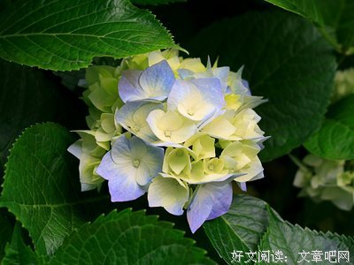 赢在刚刚好读后感精选10篇