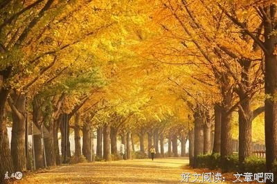 十一月能够喜事连连，好运不断的星座，令人眼红！