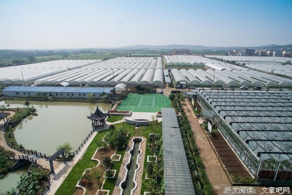 美丽的凶器的读后感10篇