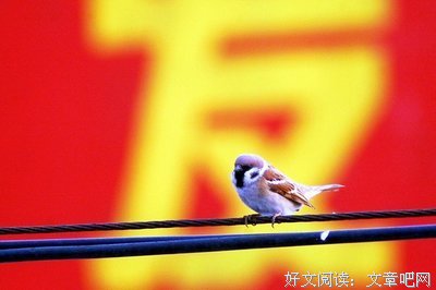 《贵州》读后感10篇