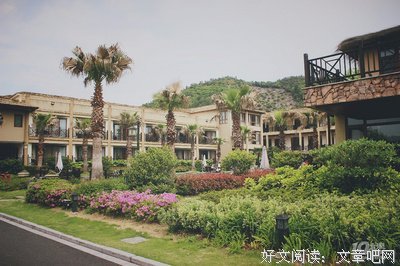 我的左手边是你的右手的读后感10篇