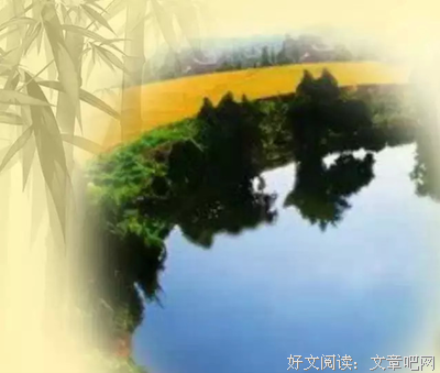 不完满才是人生